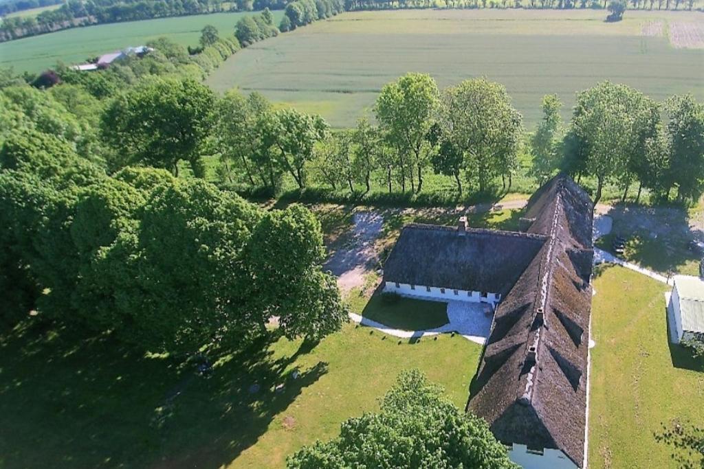 Ehemaliges Rio Reiser Haus Stadum Екстериор снимка
